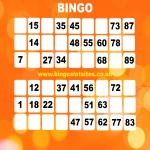 Bingo Slot Sites 12