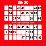 Bingo Slot Sites 7